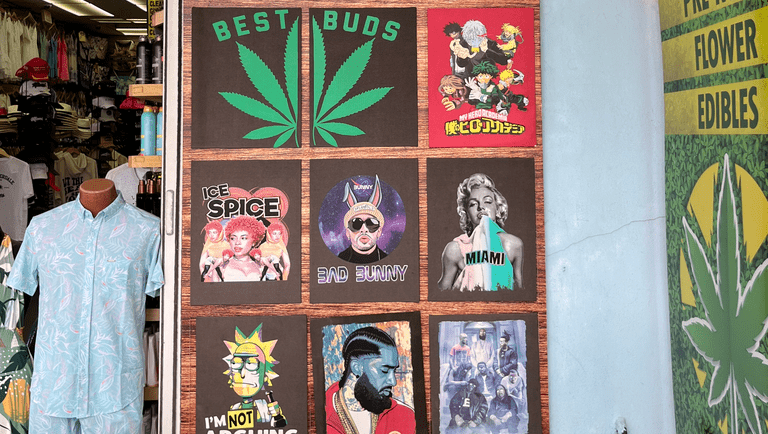 From Hollywood to Hip-Hop: The Pop Culture Roots of Cannabis Apparel
