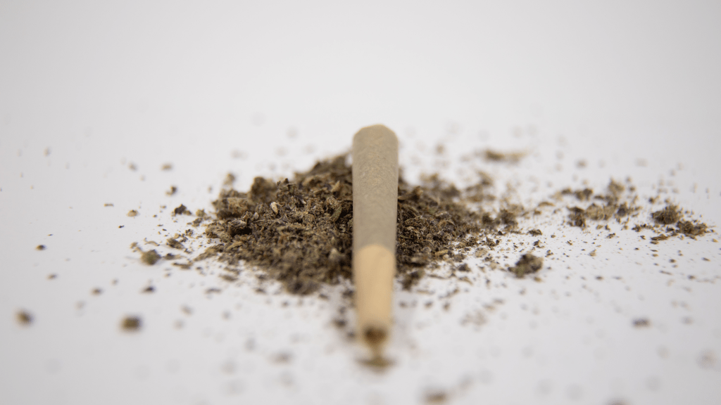 Warm, Stylish, and Leaf-Loving: Cannabis Sweatshirt Gifts for Everyone